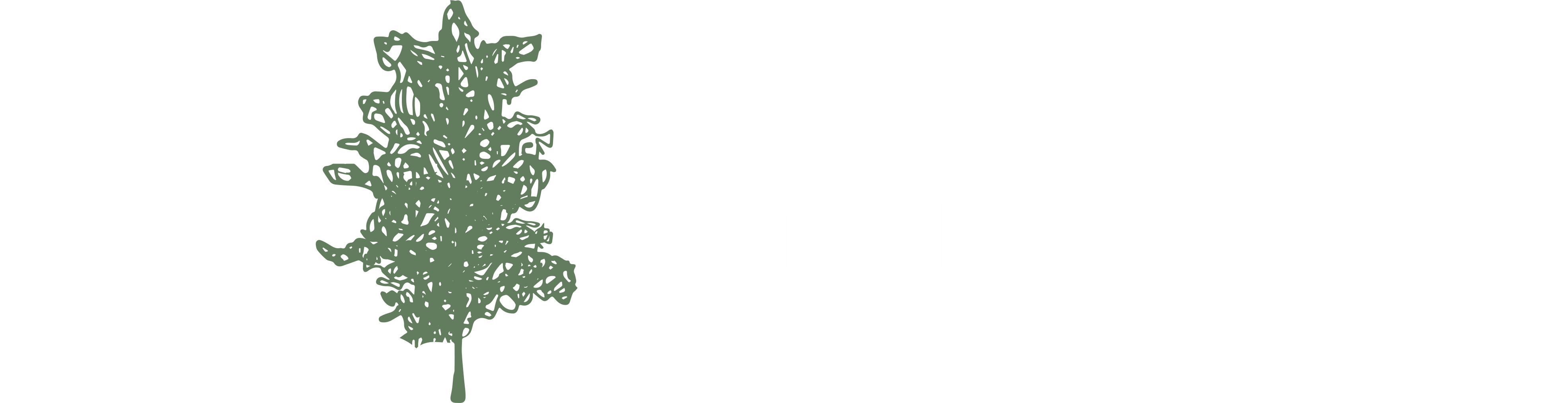 lestanzedichiara.com